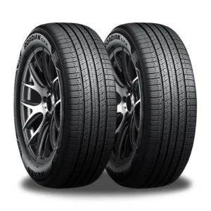 100H Nexen Roadian Gtx