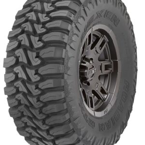 Lt 10P 123/120Q Nexen Roadian Mtx Rm7