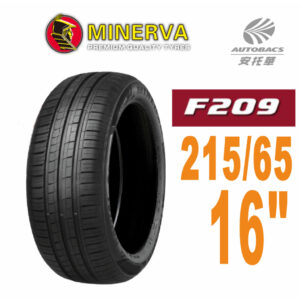 Xl 102V Minerva F209