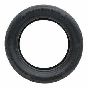 89V Minerva F209