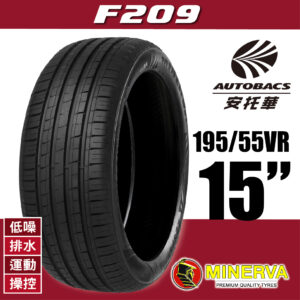 85V Minerva F209