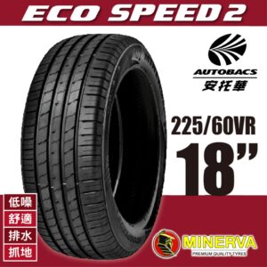 100V Minerva Ecospeed2 Suv