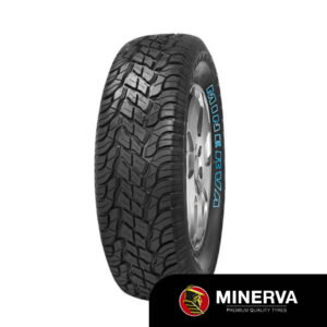 77T Minerva 209
