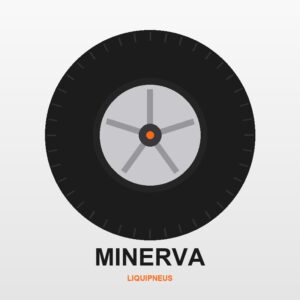 Xl 110W Minerva F110